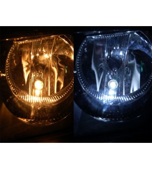T10/W5W lamp LED 12V Xenon Wit