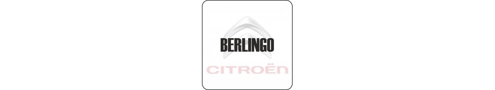 Berlingo - Lights and Styling