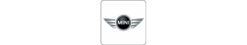 Mini 01-