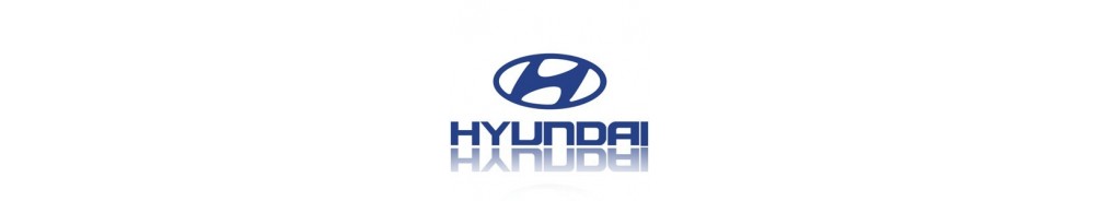 Hyundai Santa Fe 2000-2004 Accessoires -