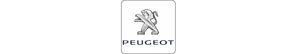 Peugeot J-serie Accessoires Verstralershop