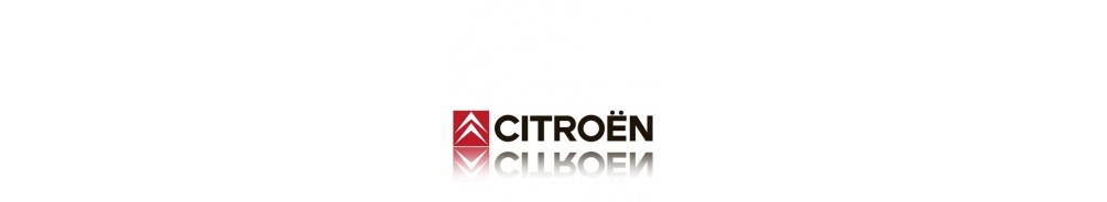 Citroën Berlingo 2018- Lights and Styling