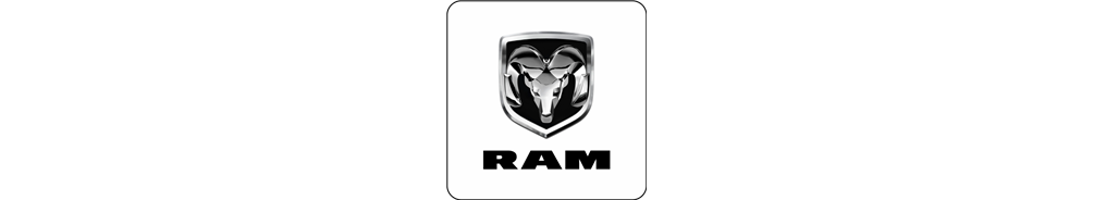 RAM 2019- (5th gen) - Lights and Styling
