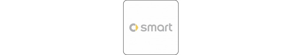 Smart Accessories - Lights and Styling