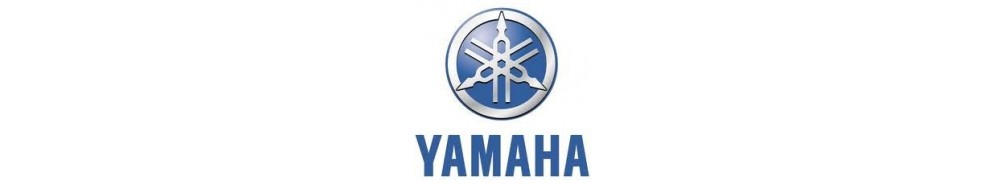 Yamaha - Lights and Styling