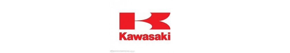 Kawasaki - Lights and Styling